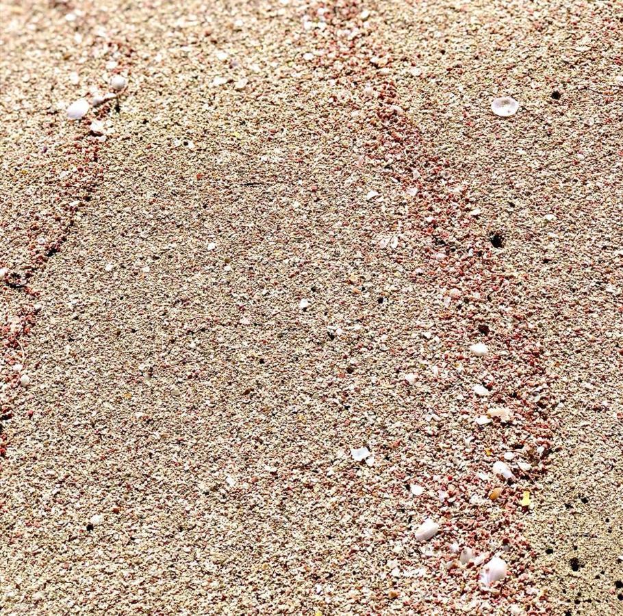 Raggi Di Sole Custonaci Exterior foto